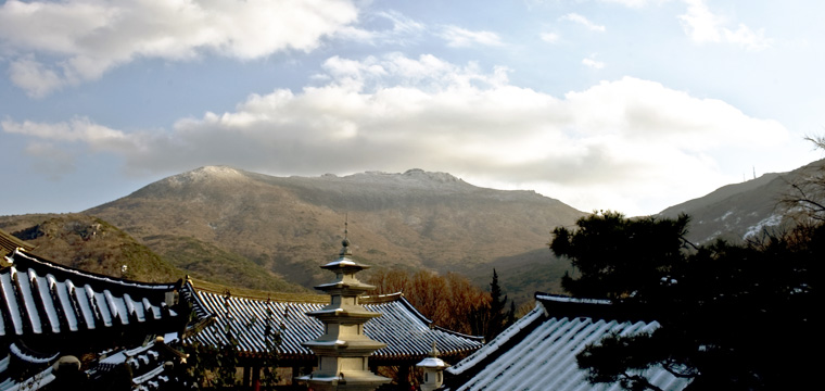 충장사 & 원효사