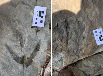 화순 서유리 공룡화석지