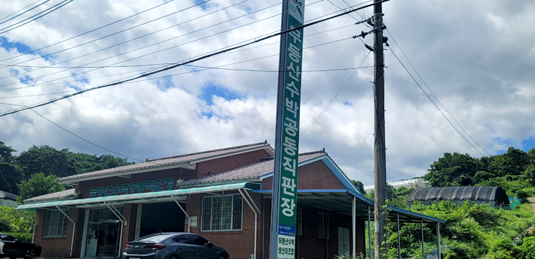 무등산 수박 공동 직판장