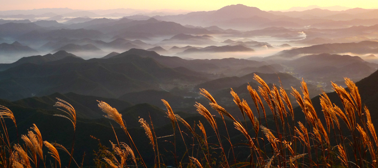 신선대와 억새평전