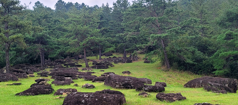 대신리 발굴지 보호각