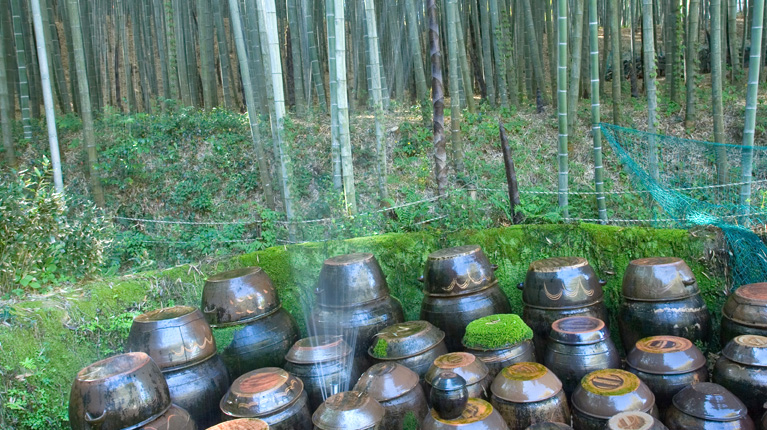 도래수마을 지오푸드